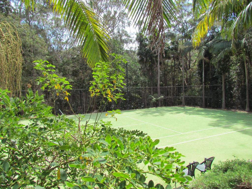 Shelly Beach Resort Port Macquarie Eksteriør billede